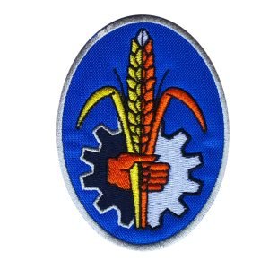 Parche bordado Fordson 7 x 9 cm. [MA-153]